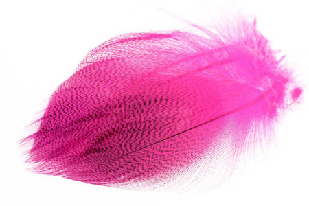 You added <b><u>Gadwall Barred Flank - Fl. Pink</u></b> to basket.