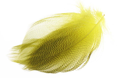 You added <b><u>Mallard Duck Flank Large Selected - Mayfly Yellow</u></b> to basket.