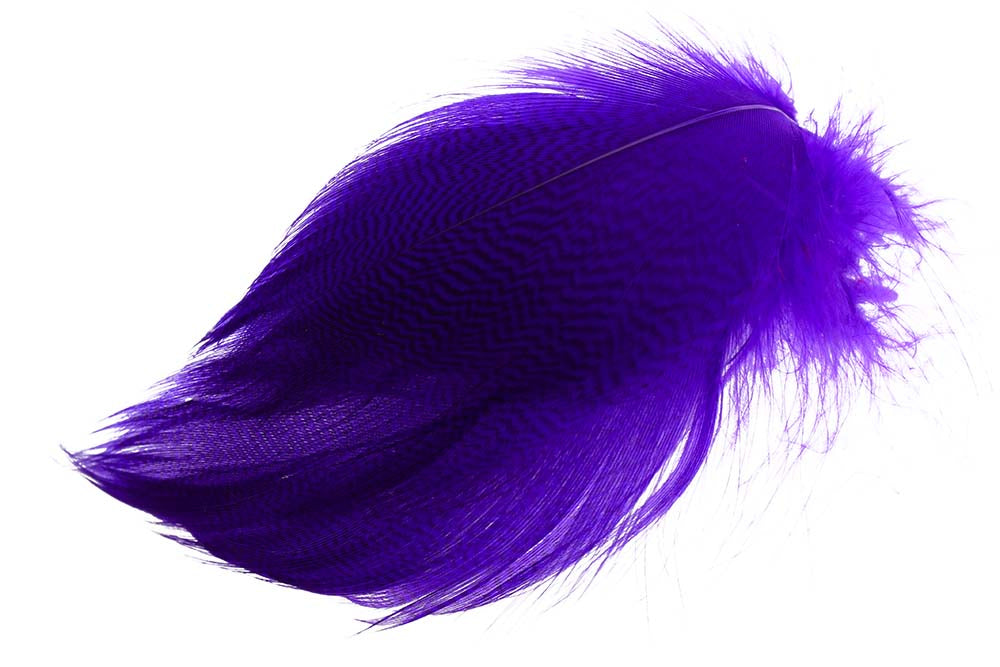 Mallard Duck Flank Large Selected - Purple