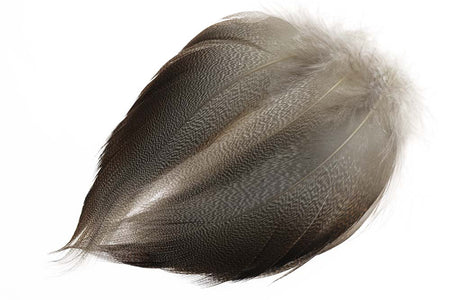 You added <b><u>Mallard Bronze - Spey LARGE Select</u></b> to basket.
