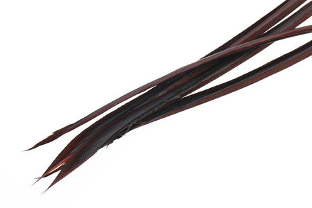 You added <b><u>Turkey biots - Mahogany Brown</u></b> to basket.