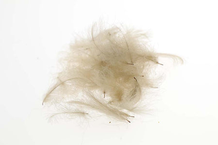 You added <b><u>Flyco Cul De Canard - Tan</u></b> to basket.