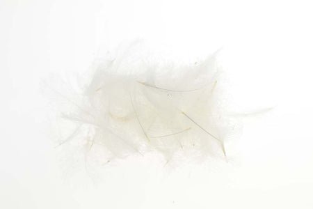 You added <b><u>Flyco Cul De Canard - White</u></b> to basket.