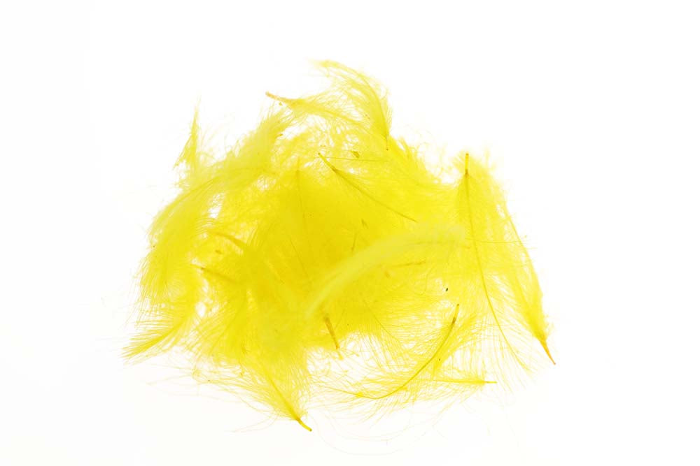 Flyco Cul De Canard - Gold