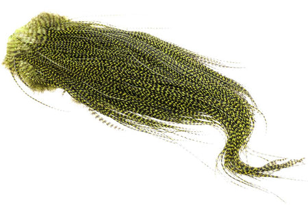 You added <b><u>(Pro Grade) Whiting Red Label Saddle Midge - Grizzly Olive</u></b> to basket.
