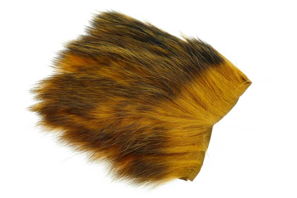 US Opossum - Sunburst Yellow