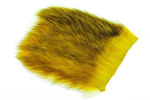 US Opossum - Yellow