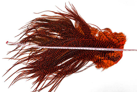 You added <b><u>Whiting Euro saddle - Grizzly Orange </u></b> to basket.
