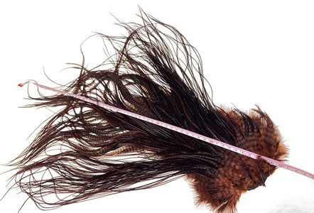 You added <b><u>Whiting Euro saddle - Grizzly Coachman Brown </u></b> to basket.