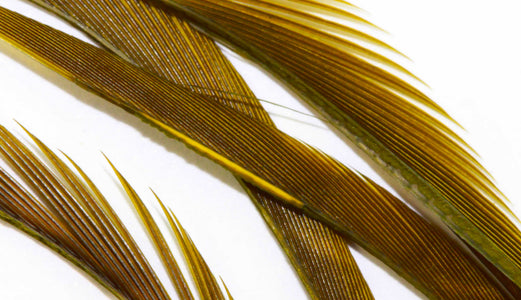 You added <b><u>Goose Biots - Blue Wing Olive</u></b> to basket.