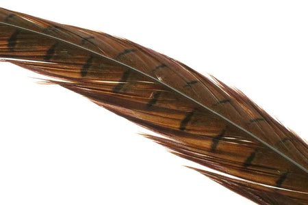 You added <b><u>Ringneck Pheasant tail 1 Pair - Natural</u></b> to basket.