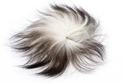 Silver Fox Tail - Natural