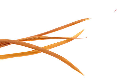 You added <b><u>Goose Biots - Ginger</u></b> to basket.