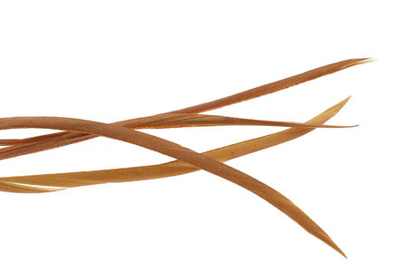 You added <b><u>Goose Biots - Tan</u></b> to basket.