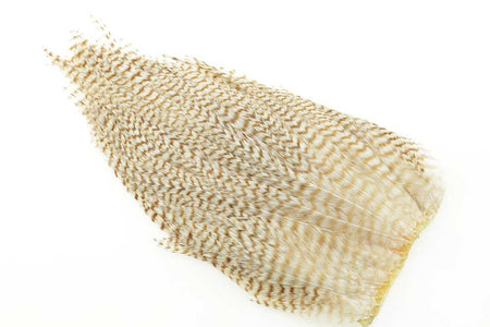 You added <b><u>Ewing #1 Bleached Grizzly Deceiver Patch</u></b> to basket.