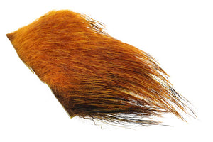 Boar bristles (Boar bristle) - Sunburst