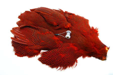 You added <b><u>Whiting Whole guinea fowl - Red</u></b> to basket.
