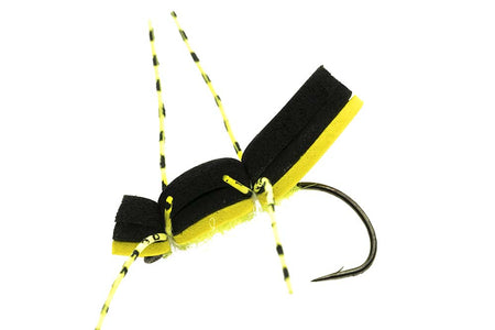 You added <b><u>Material kit - Foam Beetle</u></b> to basket.