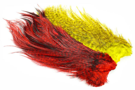 You added <b><u>Whiting Rooster Coq de leon Predator pack - Red/Yellow</u></b> to basket.