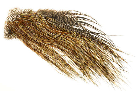 You added <b><u>(Pro Grade) Whiting Red Label Saddle - Barred Dark Ginger</u></b> to basket.