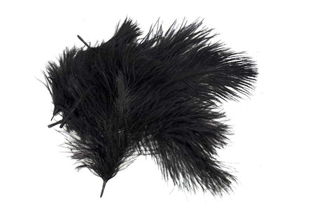 You added <b><u>Micro Ostrich Spey Plumes - Black</u></b> to basket.