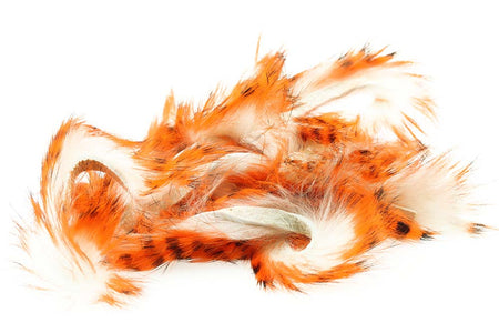 You added <b><u>3mm A-grade Tiger Barred Zonkerstrips - White/Orange/Black</u></b> to basket.