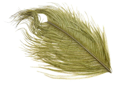 You added <b><u>Xl Ostrich Herl - Olive</u></b> to basket.