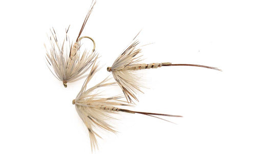 You added <b><u>French Partridge - tied in DK</u></b> to basket.