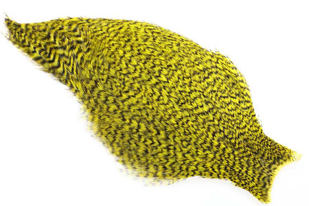 You added <b><u>Whiting American Rooster Cape - Grizzly Yellow</u></b> to basket.