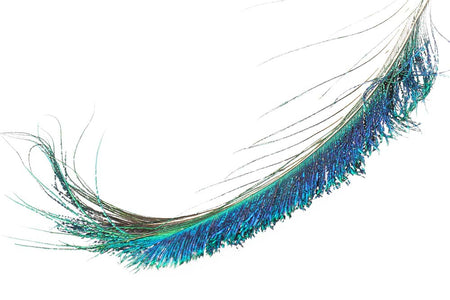 You added <b><u>Peacock swords - Natural</u></b> to basket.