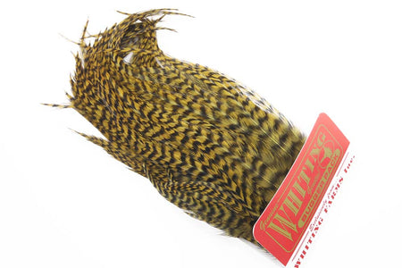 You added <b><u>Whiting Bugger Pack - Grizzly Golden Olive</u></b> to basket.