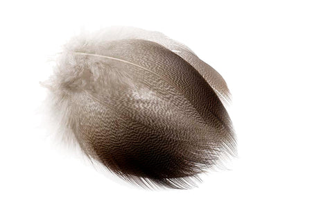 You added <b><u>Mallard - Bronze natural</u></b> to basket.