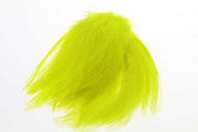 Hane Hackler - Fl.Yellow