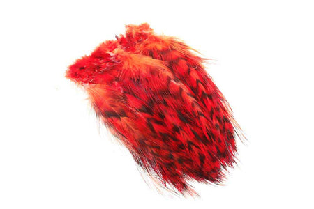 You added <b><u>Rooster Hackles Grizzly - Red</u></b> to basket.