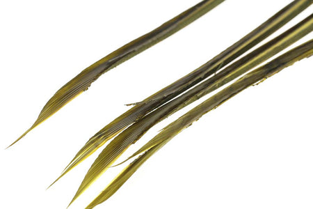 You added <b><u>Goose Biots - Lt.Olive</u></b> to basket.
