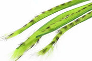 3 mm Rabbit Barred Zonkerstrip - Fl.Chartreuse