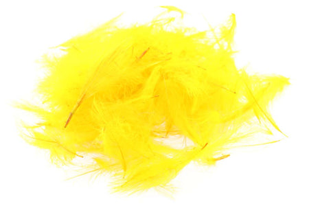 You added <b><u>Swiss CDC Standard - Gold Yellow 12</u></b> to basket.