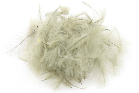 You added <b><u>Swiss CDC Standard - Pale Down 14</u></b> to basket.