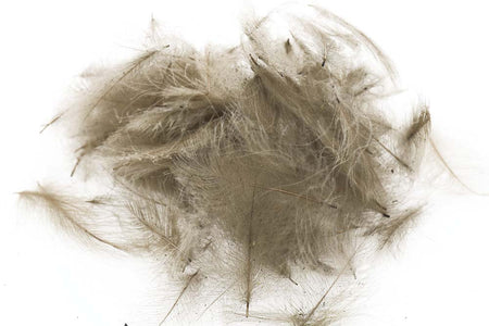 You added <b><u>Swiss CDC Standard - Down 15</u></b> to basket.