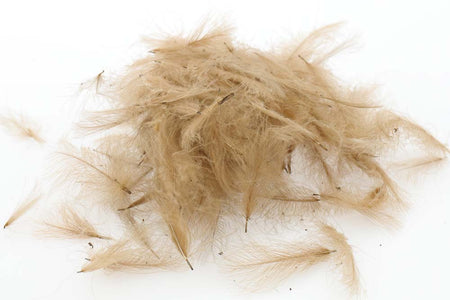 You added <b><u>Swiss CDC Standard - Pale Pardo 18</u></b> to basket.