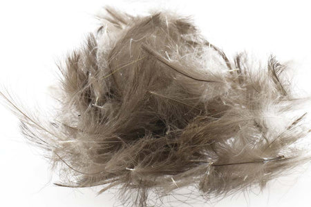 You added <b><u>Swiss CDC Standard - Blue Down 2</u></b> to basket.