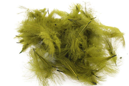 You added <b><u>Swiss CDC Standard - Olive 23</u></b> to basket.