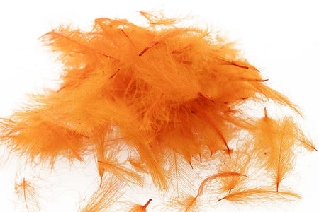 You added <b><u>Swiss CDC Standard - Orange 29</u></b> to basket.