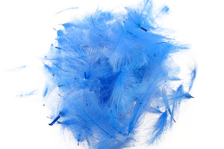 You added <b><u>Swiss CDC Standard - Blue King 36</u></b> to basket.