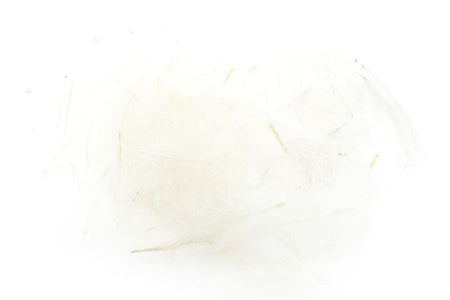 You added <b><u>Swiss CDC Standard - White 1</u></b> to basket.