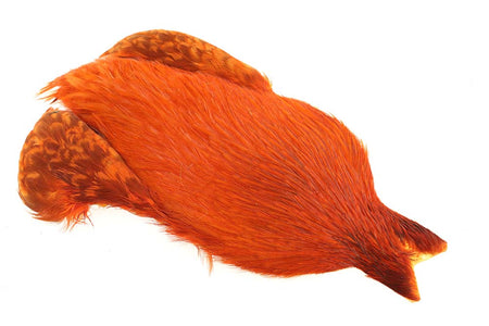 You added <b><u>4B Whiting Rooster Cape - Burnt Orange</u></b> to basket.