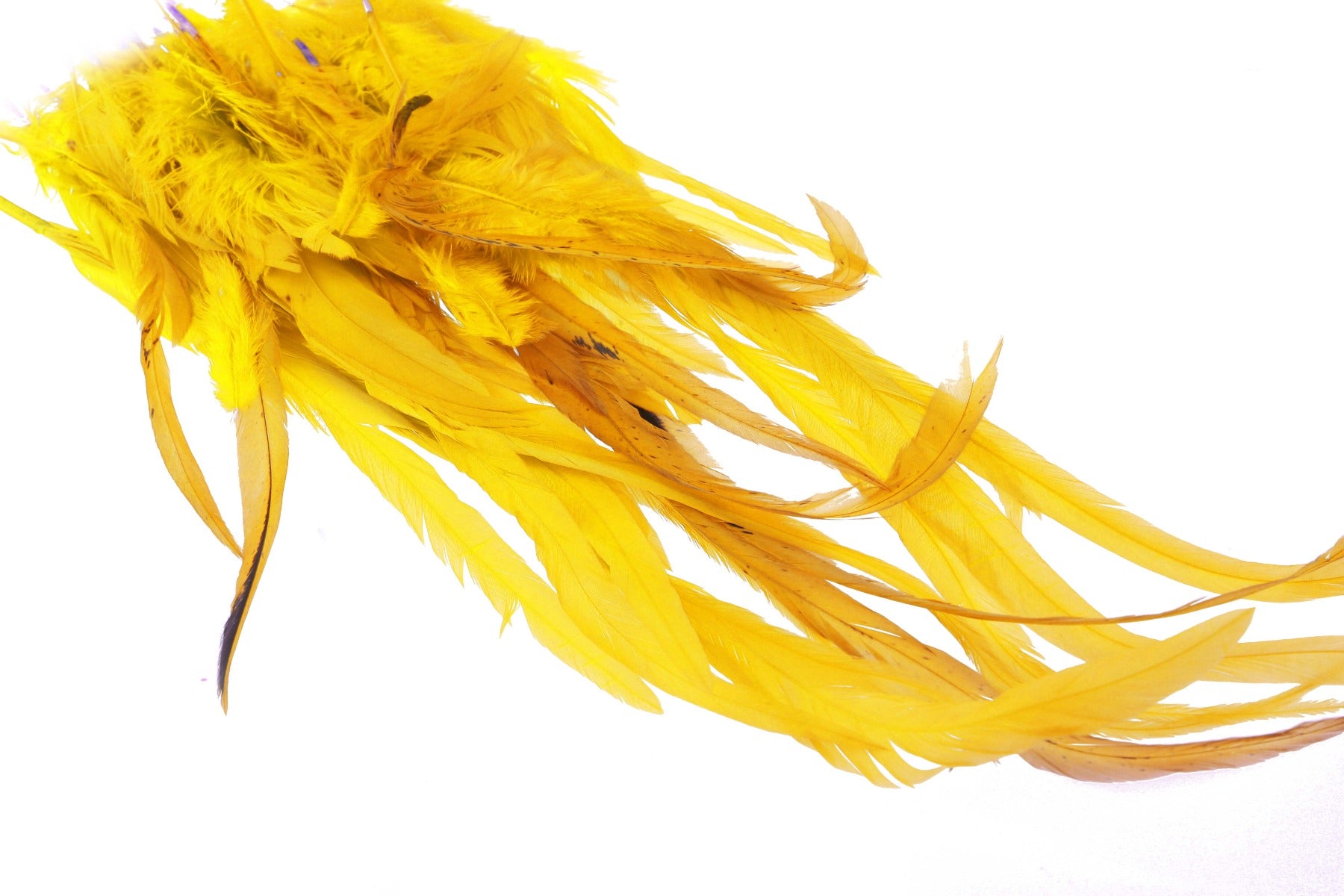 Giga Keough Pike Schlappen pack - Yellow