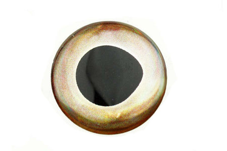 You added <b><u>Living Eyes - Ice</u></b> to basket.