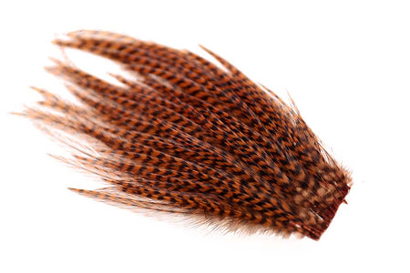 You added <b><u>Ewing 12's & 14's Dry Fly Mini Pack Grizzly Brown</u></b> to basket.