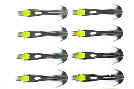 You added <b><u>Junglecock Sub. - Chartreuse</u></b> to basket.